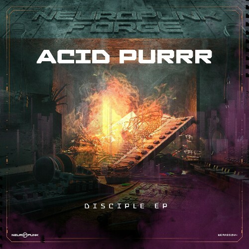  Acid Purrr - Disciple (2025) 