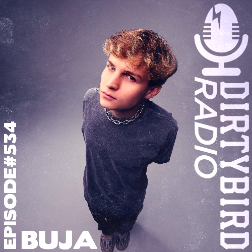  Buja - Dirtybird Radio 534 (2026-06-15) 
