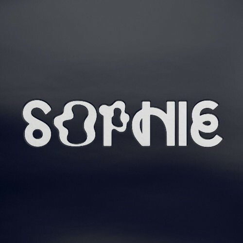  SOPHIE - PRODUCT (2025) 