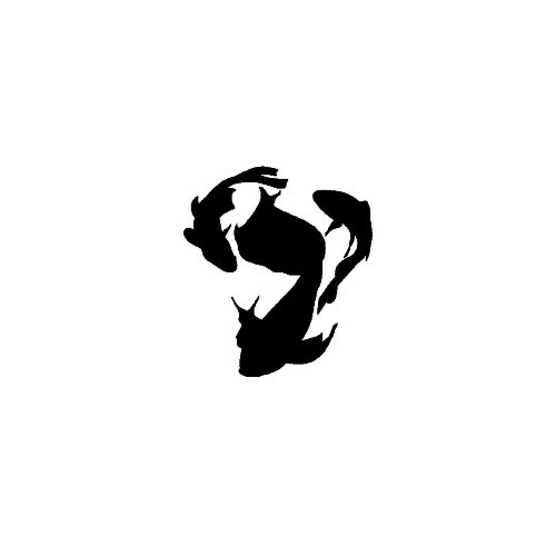  Phasmid - Immersions (2025) 