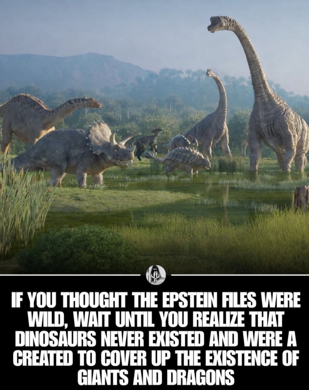 ME1BSYWH_o.jpg