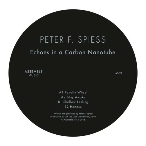  Peter F. Spiess - Echoes In A Carbon Nanotube (2025) 