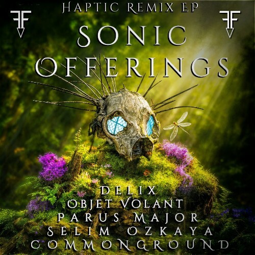  Haptic - Sonic Offerings (2026) 