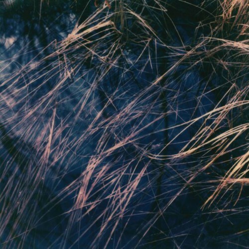  Zake - Hild (2026) 