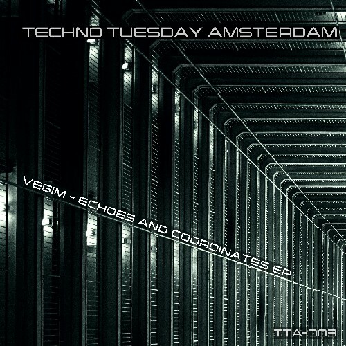  Vegim - Echoes and Coordinates (2025) 