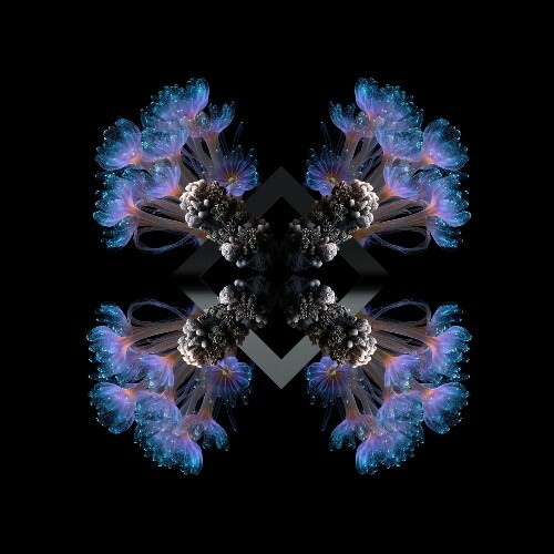  Fideles, 88Birds - 10 Breaths (2025) 