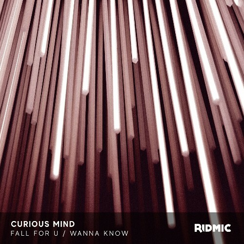  Curious Mind - Fall For U / Wanna Know (2024) 