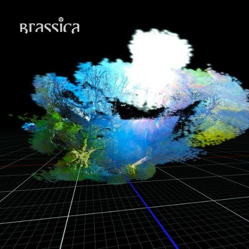  Brassica - CAGE (2026) 