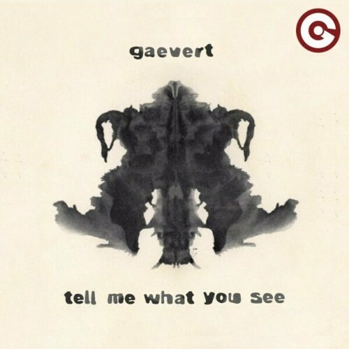  Gaevert - Tell Me What You See (2024) 