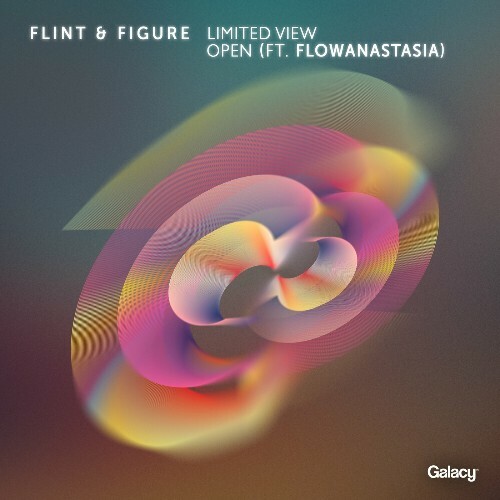  Flint & Figure - Limited View / Open (2024) 