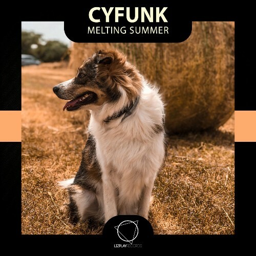  CyFunk - Melting Summer (2025) 