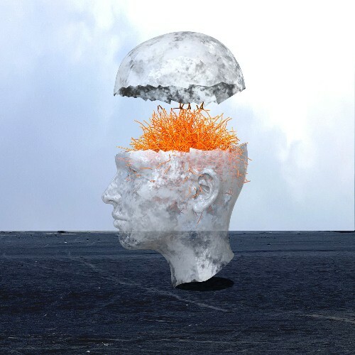  Fog Umbrella - Lost Found (2025) 