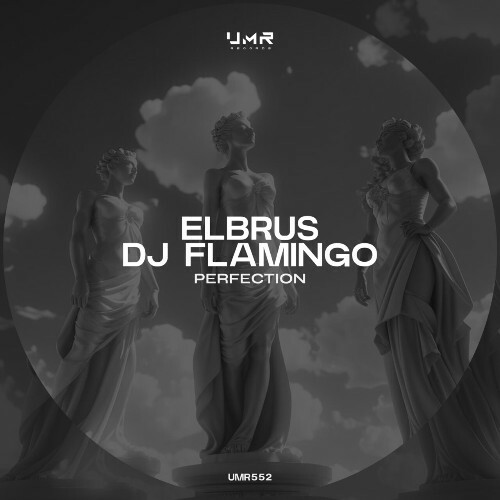 Elbrus & Dj Flamingo - Perfection (2024)