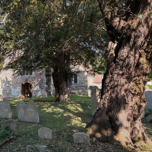  Zachary Paul, Celia Eydeland - The Echoing Green (2026) 