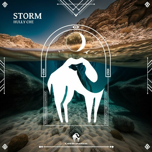 VA -  Hully Che - Storm (2024) [MP3] MEWGJ3I_o