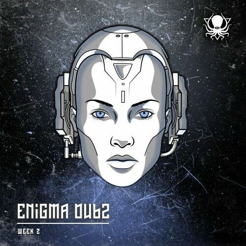  ENiGMA Dubz - Machine Learning (2025) 