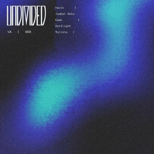  Undivided #008 (2024) 