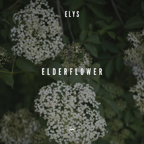 Elys - Elderflower (2024)