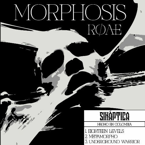 VA - RØÆ - Morphosis (2024) (MP3)