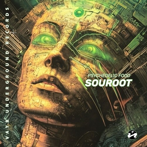  souroot - Psychedelic Food (2025) 