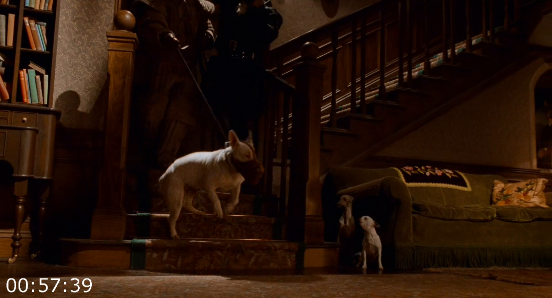 [Kép: ME19IMGK_o.png]