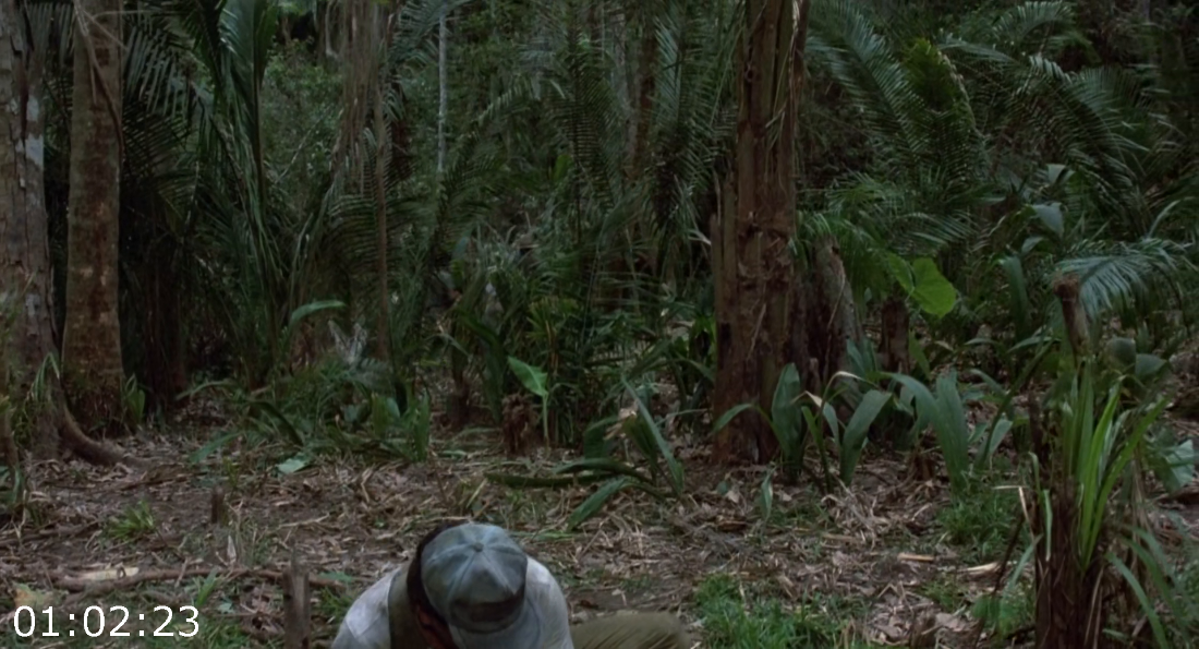 [Kép: ME1BJ28Q_o.png]