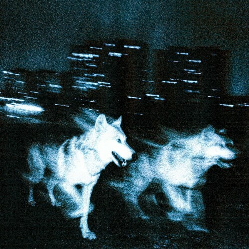  Djadja Et Dinaz - Les Bases (2026) 