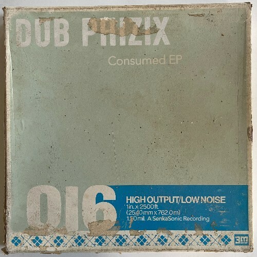  Dub Phizix - Consumed (2024) 