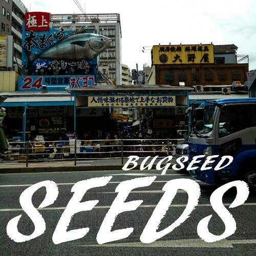  Bugseed - Seeds (2024) 