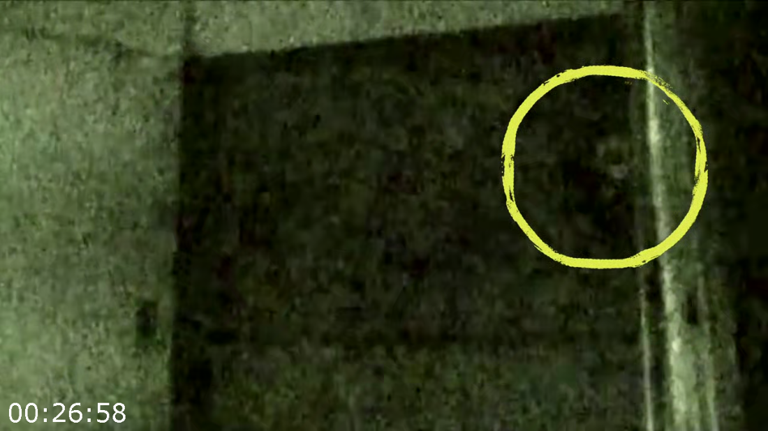 [Image: ME18AUIG_o.png]