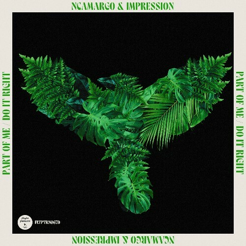 nCamargo & Impression - Part Of Me / Do It Right (2024)