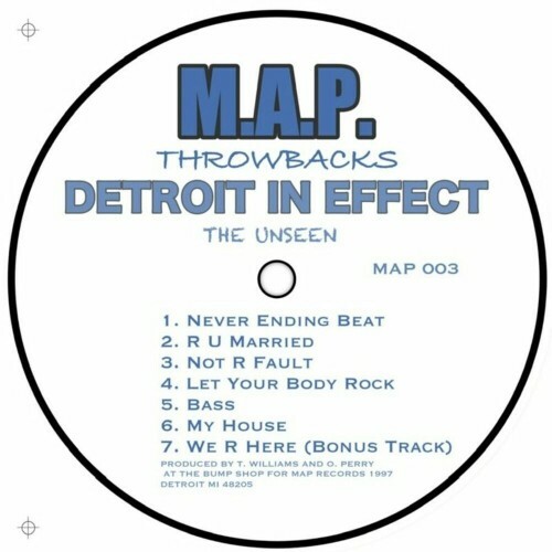  Detroit In Effect - The Unseen (2024) 