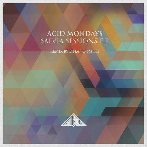 MP3:  Acid Mondays - Salvia Sessions (2024) Онлайн