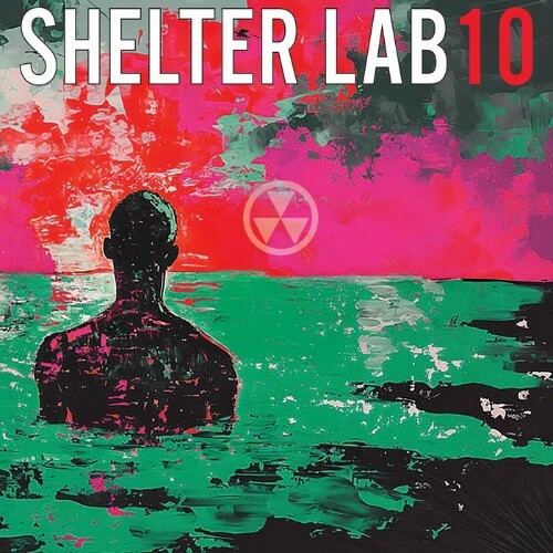 Timmy Regisford - Shelter Lab 10 (2025) Timmy Regisford - Shelter Lab 10 (2025)