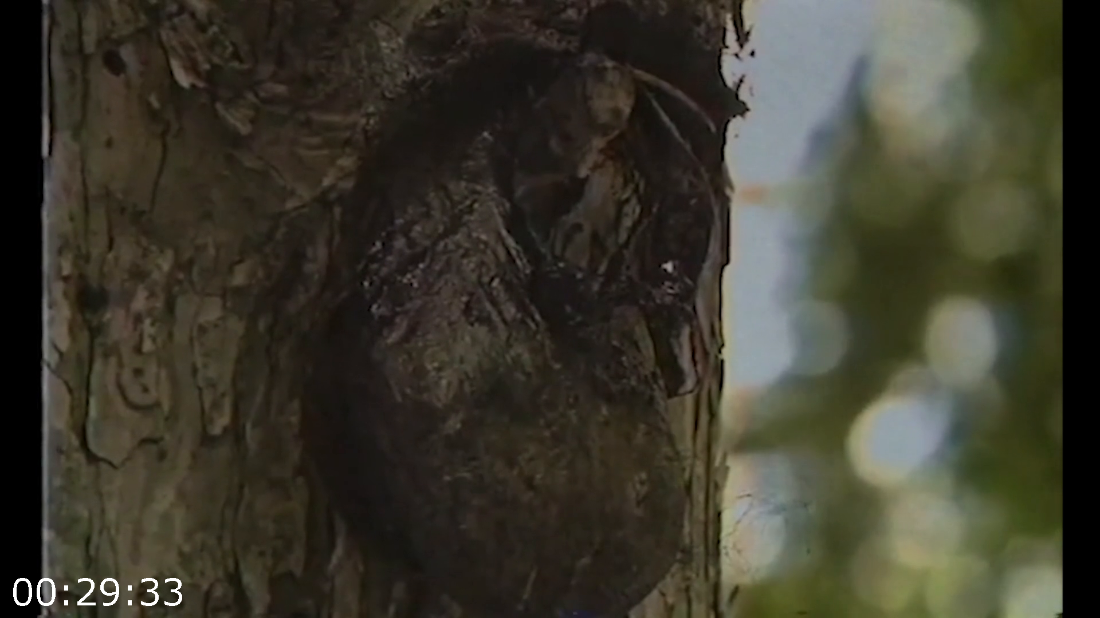 [Kép: ME19M3Q9_o.png]