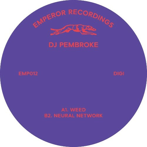  DJ Pembroke - weed (2024) 