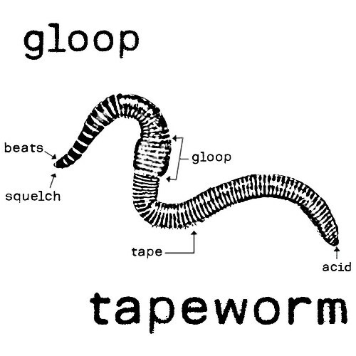  Gloop - Tapeworm (2024) 
