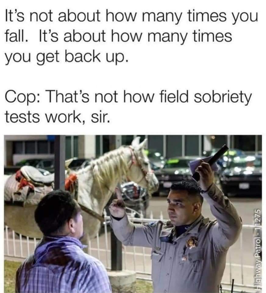 MEOV55T_o.jpg