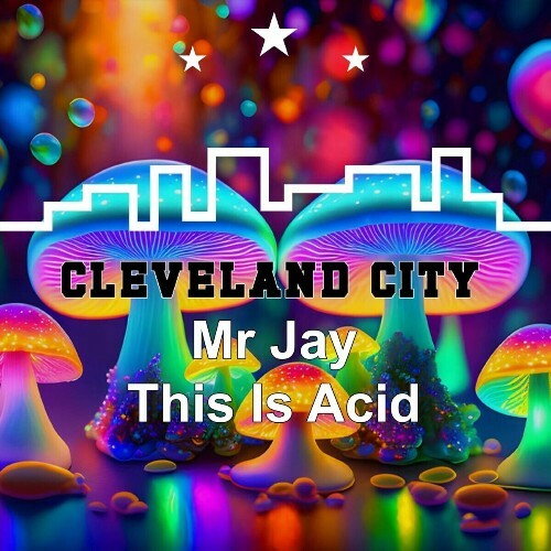 Mr Jay - This Is Acid (2025)