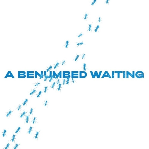  A Benumbed Waiting (2025) 