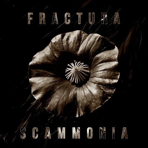  Fractura - Scammonia (2025) 