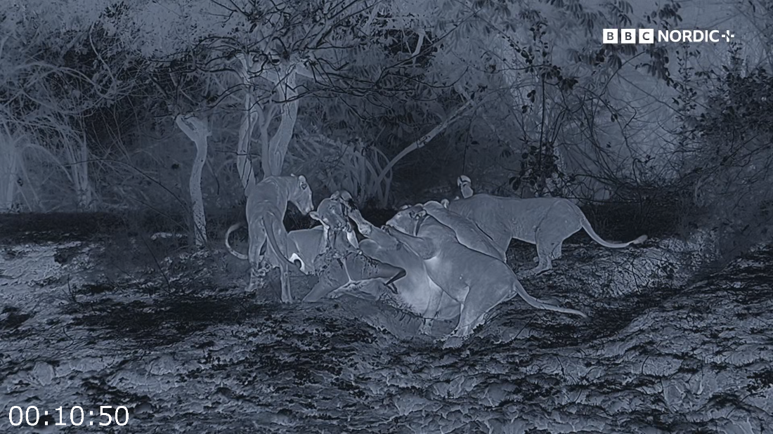 [Image: ME18D14N_o.png]