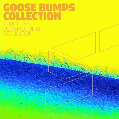 MP3:  Goose Bumps Collection, Vol. 12 (2024) Онлайн