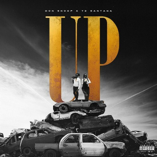  Don Snoop, TZ SANTANA - UP (2025) 