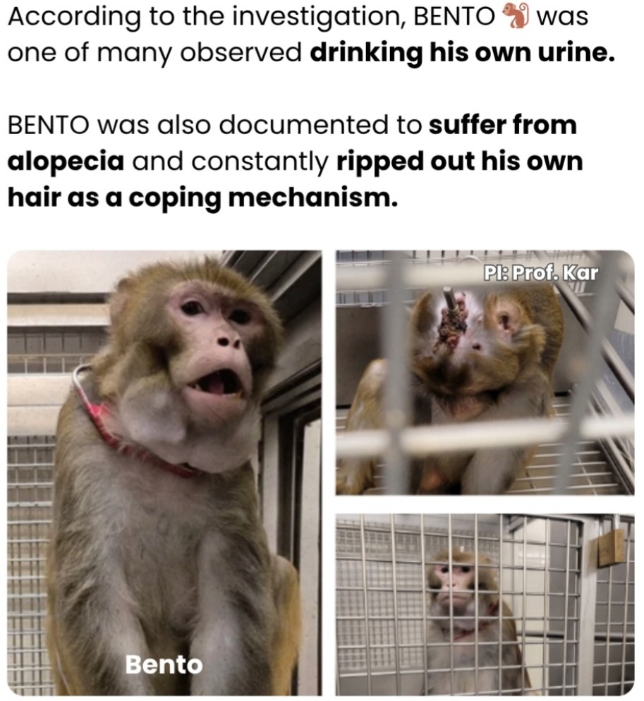 ME1CVXCP_o.jpg
