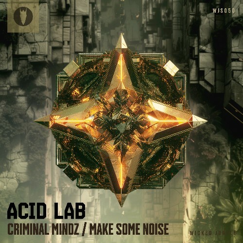 MP3:  Acid Lab - Criminal Mindz / Make Some Noise (2024) Онлайн