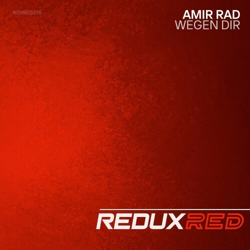  Amir Rad - Wegen Dir (2024) 