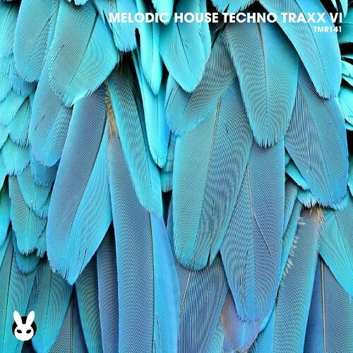  Melodic House Techno Traxx VI (2024)  MEWD9QU_o