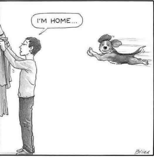 [Image: ME1800MC_o.jpg]