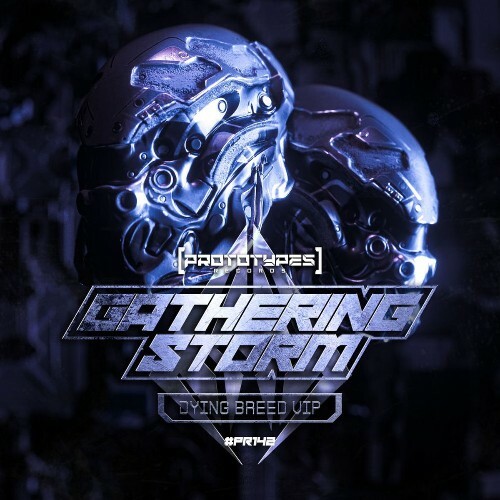  Gathering Storm - Dying Breed VIP (2026) 